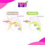 Mamababy Puting Baby Puting Botol Susu baby Wideneck for Baby Feeding bottle feeding nipple Replacement teats pacifier hanya RM0.36 di Shopee