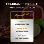 ROMANO EDP – Grandiose 100ml | Longer Lasting Modern Perfume| Minyak Wangi hanya RM41.24 di Shopee